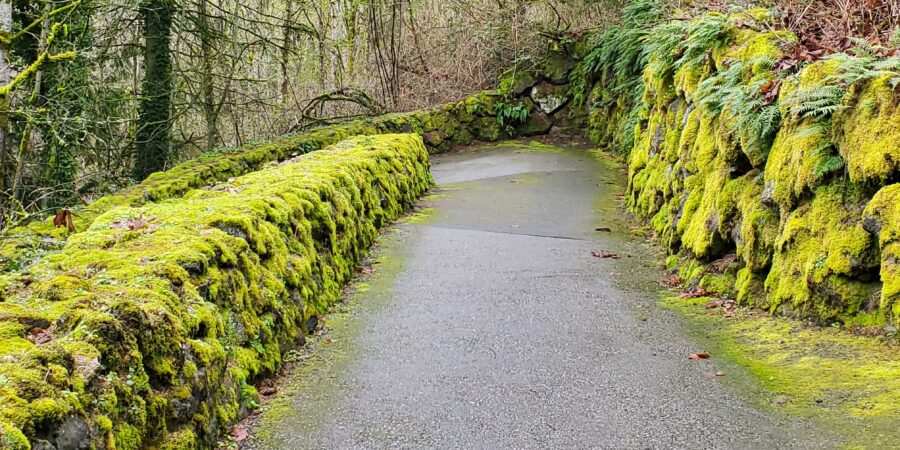 Hiking trail surrounded by mossy stone walls